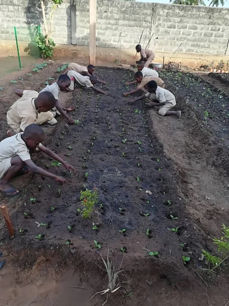 Local community project supported by AHPA